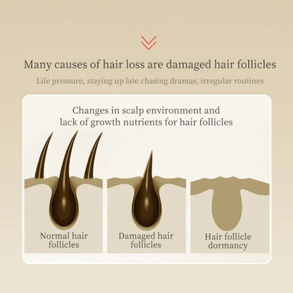 LiQT Anti–Hair Growth Ginger Shampoo ( BUY 1 GET 1 FREE )