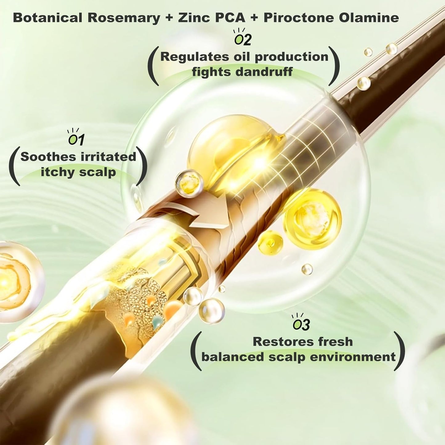 TGideas™ Rosemary Amino Acid Shampoo ( BUY 1 GET 1 FREE )