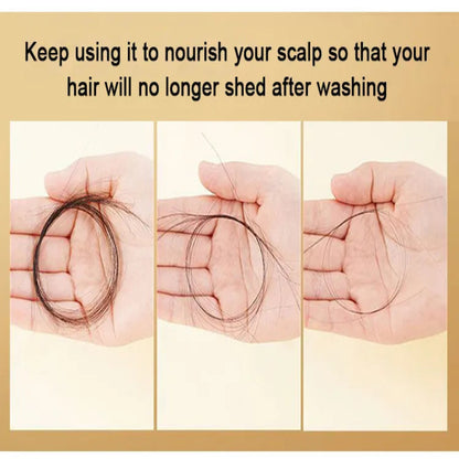 King Of Ginger Anti-Hair Loss Shampoo ( BUY 1 GET 1 FREE )