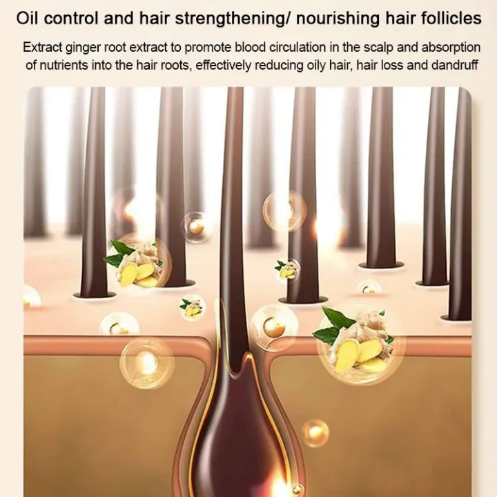 King Of Ginger Anti-Hair Loss Shampoo ( BUY 1 GET 1 FREE )