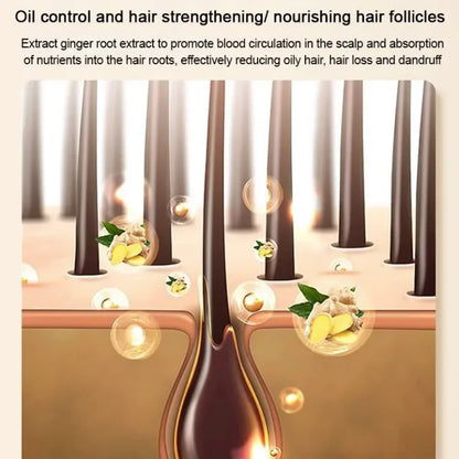 King Of Ginger Anti-Hair Loss Shampoo ( BUY 1 GET 1 FREE )