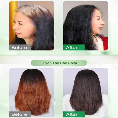 Imported Bubble Plant Hair Dye ( BUY 1 GET 1 FREE )