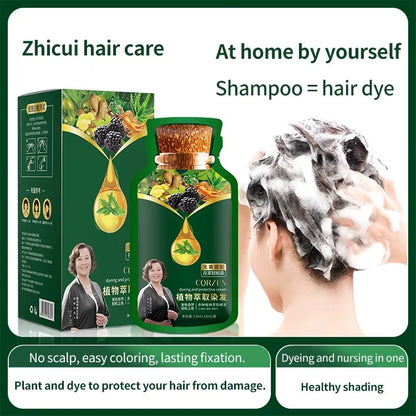Korean Imported Bubble Plant Extract Hair Dye No Scalp Stain
