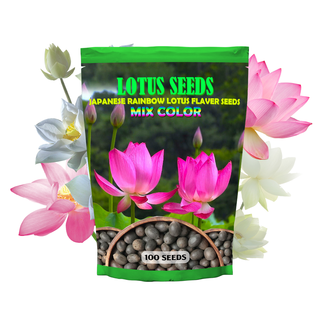 Premium Japanese Multicolor Bonsai Lotus Seeds ( BUY 1 GET 1 FREE)