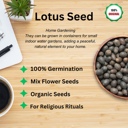 Premium Japanese Multicolor Bonsai Lotus Seeds ( BUY 1 GET 1 FREE)