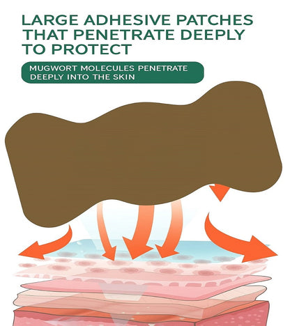 Premium Weight Loss Big Belly Patch