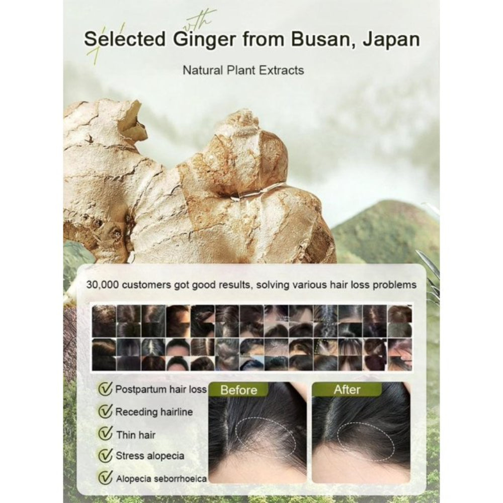 Ginger Plant Extract anti - hair loss shampoo ( Pack Of 10 )