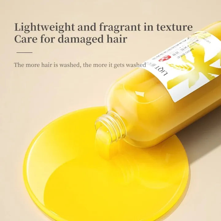 LiQT Anti–Hair Growth Ginger Shampoo ( BUY 1 GET 1 FREE )